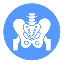 Pelvis Color Filled icon