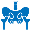 Pelvis icon