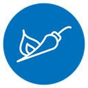 Pepper hot icon