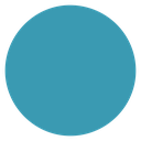 Person 4 icon