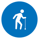 Person walking with cane 2 icon