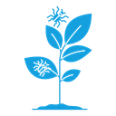 Pest plant icon