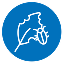 Pest plant icon