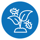 Pest plant icon