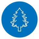 Pine Trees icon