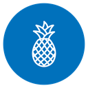 Pineapple 2 icon
