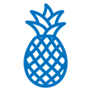 Pineapple 2 icon