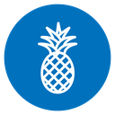 Pineapple 5 icon