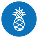 Pineapple icon