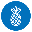 Pineapple icon