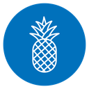 Pineapple icon