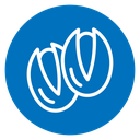 Pistachio icon