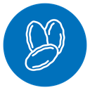 Pistachio Nuts icon