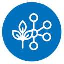 Plant based protein icon