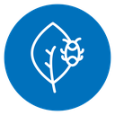 Plant pests icon