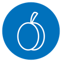 Plum icon