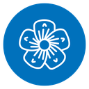 Plum Blossom icon
