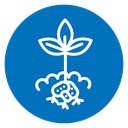 Potatoes plant icon