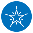 Premium star icon