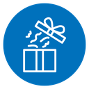 Present gift box 2 icon
