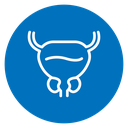 Prostate icon