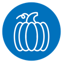 Pumpkin icon