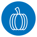 Pumpkin 2 icon