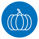 Pumpkin 3 icon