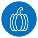 Pumpkin 6 icon