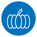 Pumpkin icon