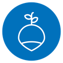 Radish icon