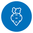 Radish 2 icon