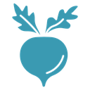 Radish 4 icon