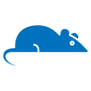 Rat icon