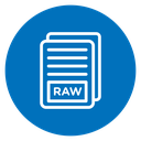 Raw data icon