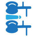 Rediclupathy redicular syndrom icon