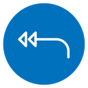 Reply all 2 icon