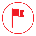 Report flag icon