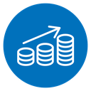 Revenue icon