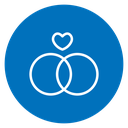 Ring 3 icon