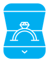 Ring icon