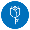 Rose icon