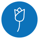Rose 2 icon