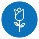 Rose icon