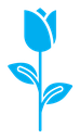 Rose Icon (2) icon