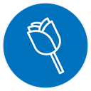 Rose 2 icon