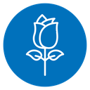 Rose Bloom icon