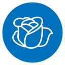 Rose flower icon