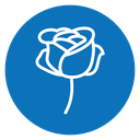 Rose flower icon