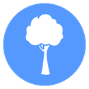 Round Tree Color Filled icon